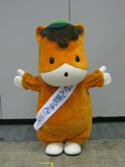 ヨッシーのトーク