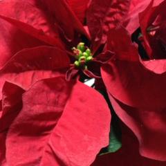 ❤️地図 好キッス❤️