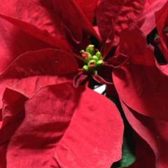 💔まっぴらごめん食品添加物