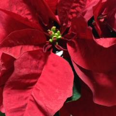 ❤️お気に入りの食べもの屋