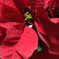 ❤️ねぇ コクっちゃう？❤️