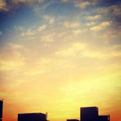 夕陽を見たイルカ