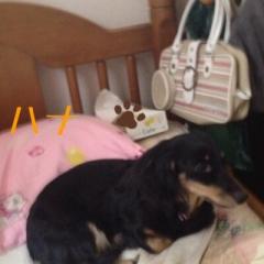 甘木真美のトーク