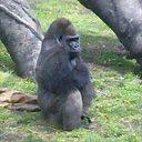 タモンズ安部のトーク