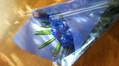 じゅんじゅんのトーク