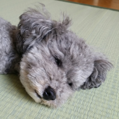 ねぎたくのトーク