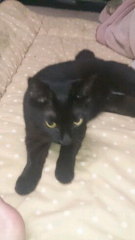 ゆーぢのトーク