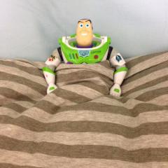 たにっち