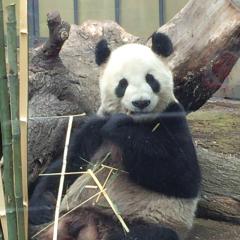 ミルクの一人トーク