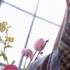 ちゃんホリのトーク