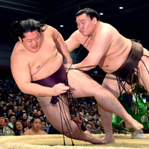 大相撲好きトーク