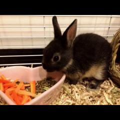 たまたまと〜く