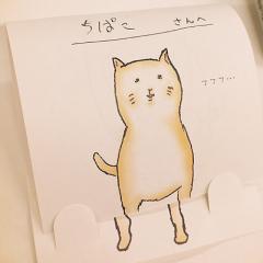 ちぱこのトーク