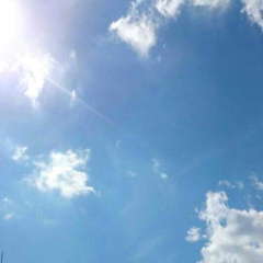 ゆるる/かふぇいん