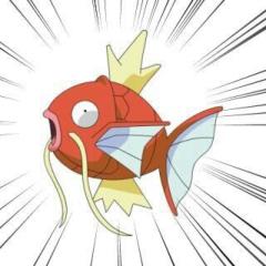 ぱるたのトーク