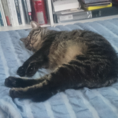 ユウジのトーク