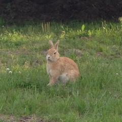タカヒロ‰のトーク