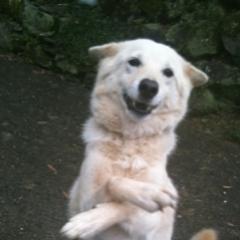 福岡の生駒絢音スキー