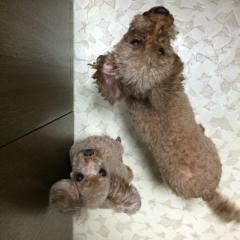 ゆーすけ監督σ(o'ω'o)⊿