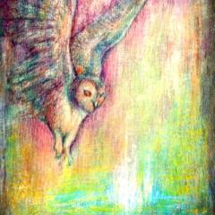 【palo】色鉛筆＆パステル画家のトーク