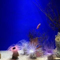 海は広いけど、無限ではなく