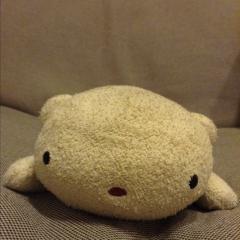 さり