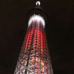 かつ丼クッションのトーク