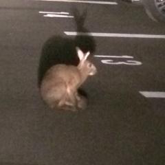 福岡人集まれ〜（≧∇≦）