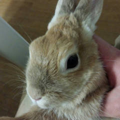 かずや