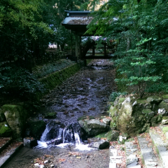 やさしみ～のトーク