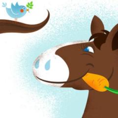 芦毛の馬のしっぽ