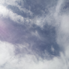 たいしですのトーク