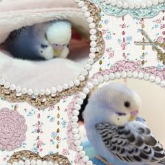 ♡あーりん♡のトーク