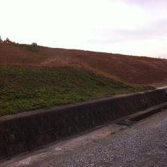 ハゲ店長のトーク