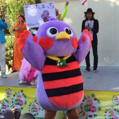 バナナマンNO1 乃木坂NO2
