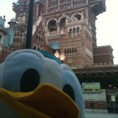 ともきʕ•̀ω•́ʔ✧