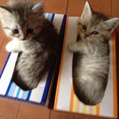 みなみのトーク