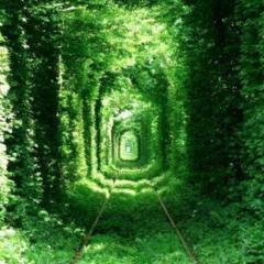 秋元先生のリトーク