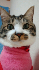 なりあつ
