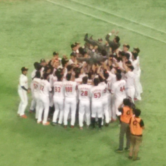 ジャイアンツファン!!