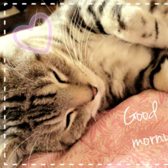 ヤマムロのトーク