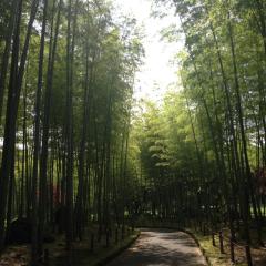 れん