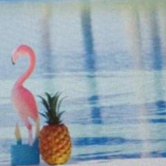 ニコ読ちゃんあつまれー