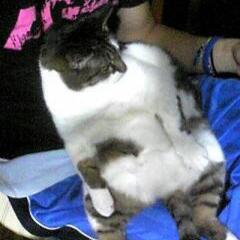 水色時計のトーク