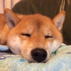 なこ