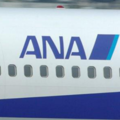 飛行機を愛してやまない