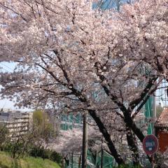 ゴゴゴルファーのトーク