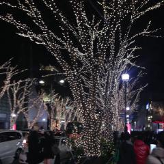 さゆ