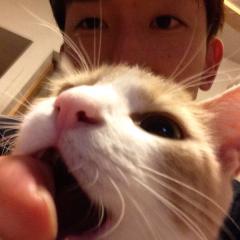 まつも