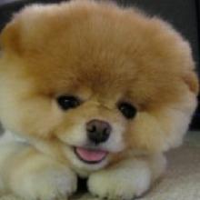 たくと ブラックメタラー @MINGO！のトーク